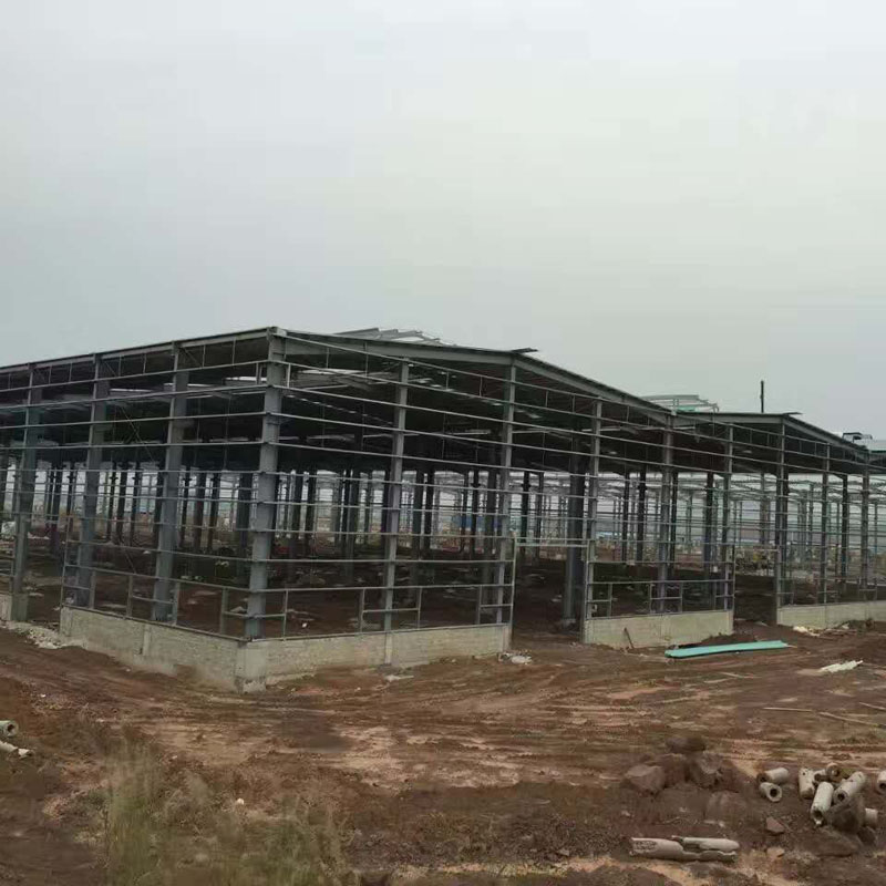 Export till Europa Prefab Steel Structure Warehouse Buildings Fabrifiering i 100+-länder